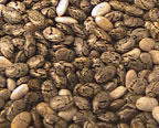 Close Up View of Chia Seeds