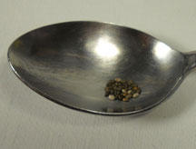 Dry Chia Seeds in a Spoon Picture