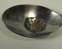 Hydrated Gel Chia Seeds in a spoon