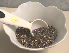 Chia Seeds in a Bowl Photo