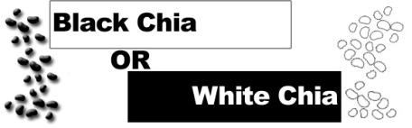 Black or White Chia Choice Header