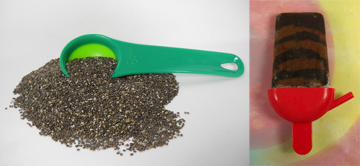 Dry Seeds vs Chocolate Layer Lowfat Fudge Pop