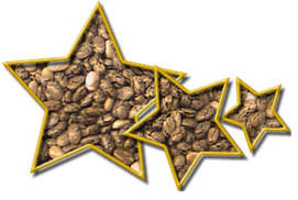 Chia Seed Texture Fun Stars