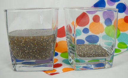 Dry & Gel Chia Glass Comparison