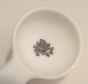 Dry Chia in a Spoon