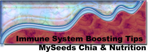 Chia Seed for Immune Health Article Header