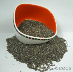 Chia seed bowl