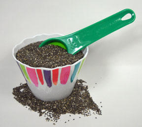 Chia Seeds Scoop in a Bowl